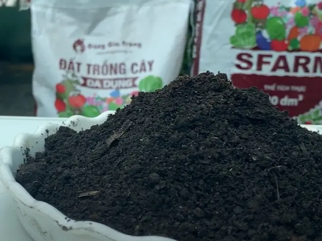 (Bịch chiết 2Kg) Đất Sạch Trồng Cây Đa Dụng Sfarm, Đất Trồng Rau – Củ - Quả, Cây Ăn Trái, Hoa Kiểng 3