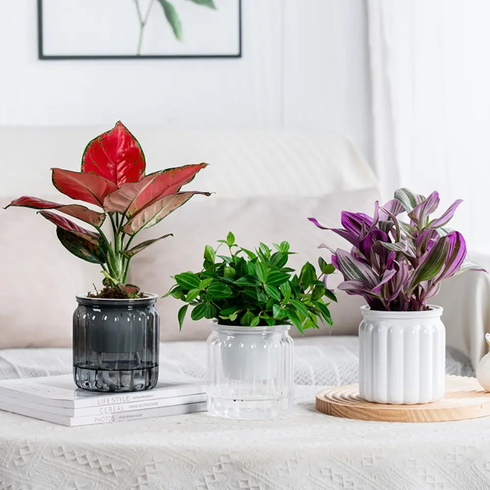 Chậu cây thủy canh tự tưới cây mọng nước mini có thể tháo rời bằng nhựa mới, bình để bàn trang trí văn phòng và bonsai.
