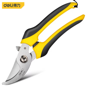 Bonsai Cây Cảnh Làm Vườn