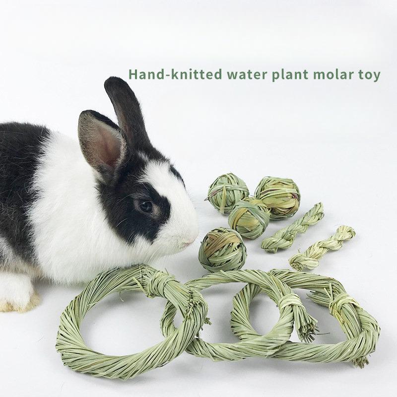 1pc Grass Ball Grass Ring Pet Teeth Grinding Toys Hamster Rabbit ...