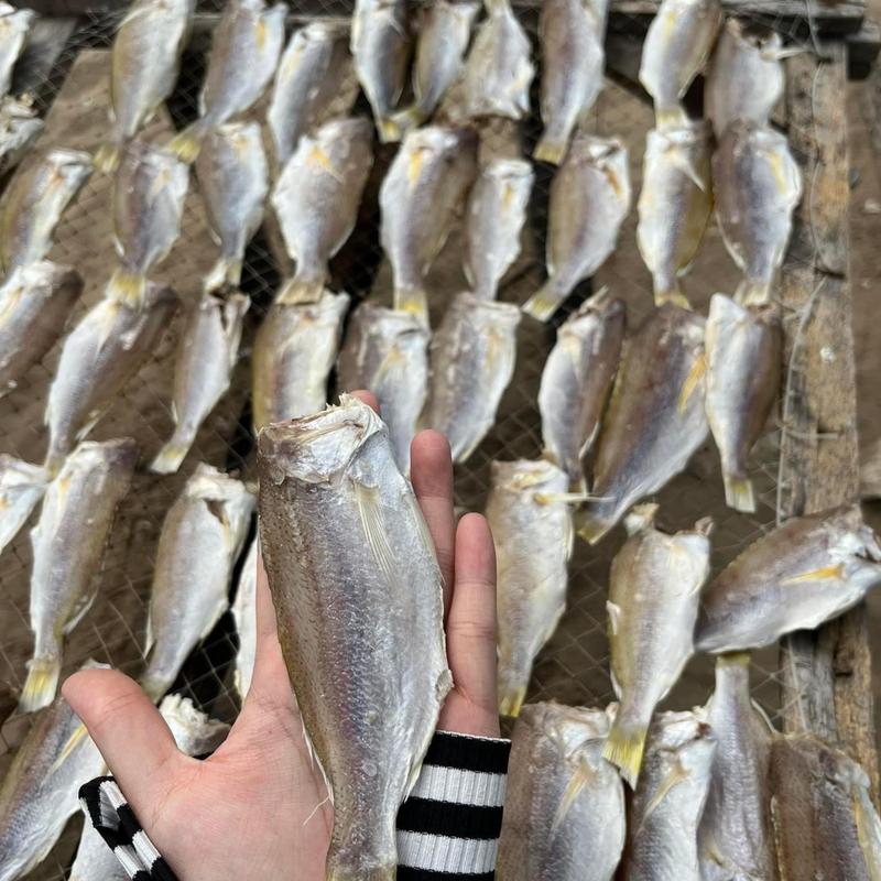 Khô Cá Lù Đù 4 Nắng [ Túi 1KG Tặng Kèm Mắm Me ] - Khô Đù Lớn Vị Mặn Vừa Ăn Cơm Rất Ngon - Vựa Khô Nhà Gà Fodd