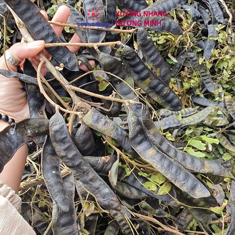 Nhang bồ kết tự nhiên Dương Minh - Thành phần Organic - Nhang khử khuẩn, thắp cúng, đuổi muỗi, xông nhà 5