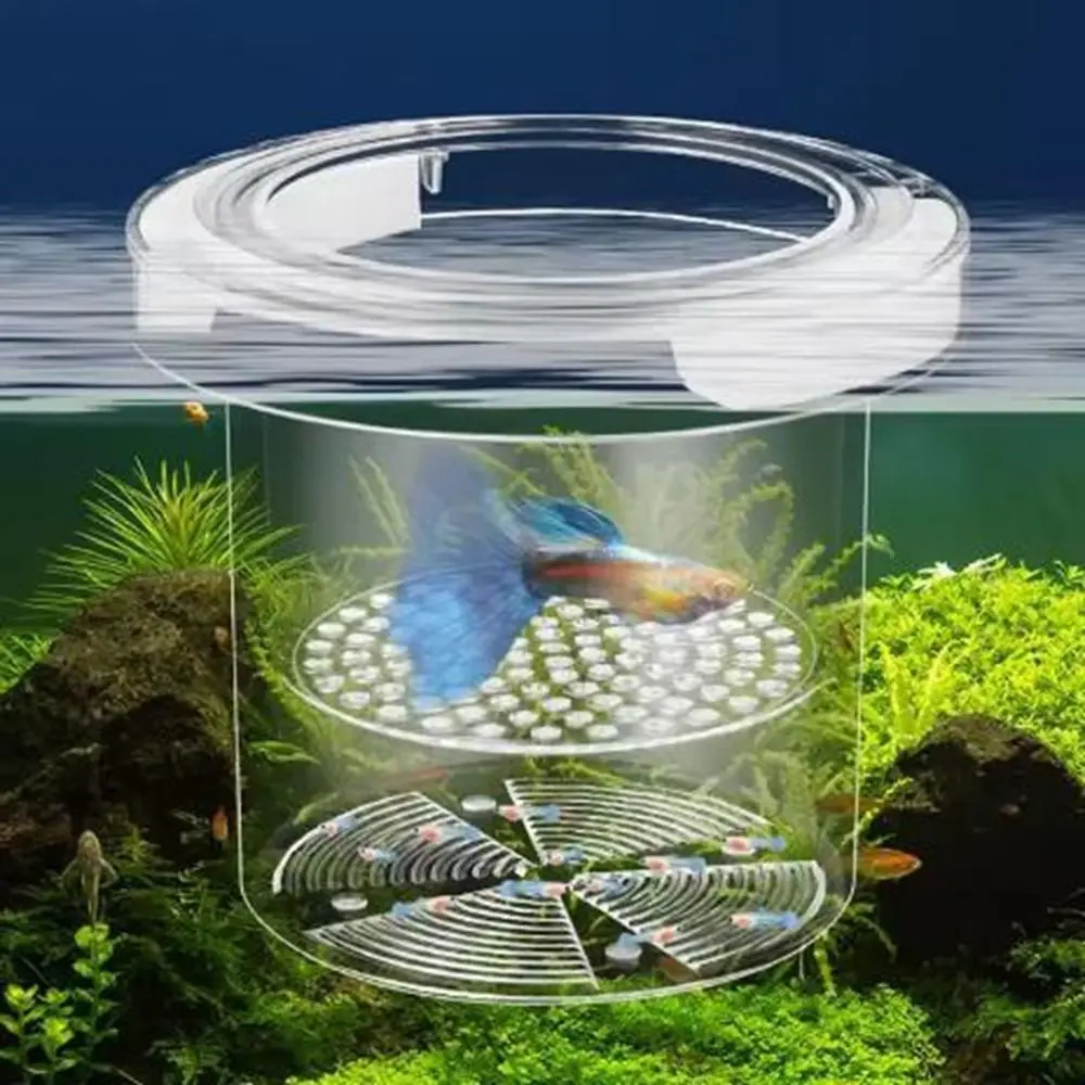 Đồ Dùng Bể Cá, Hộp Cách Ly Nhân Giống Cá Nổi, Hộp Nuôi Cá Trong Suốt Treo, Hộp Nuôi Cá, Cho Cho Ăn Trang Trí, Thích Hợp Cho Bể Cá, Cho Cá Nái Cho Ăn, Cho Cá Trẻ