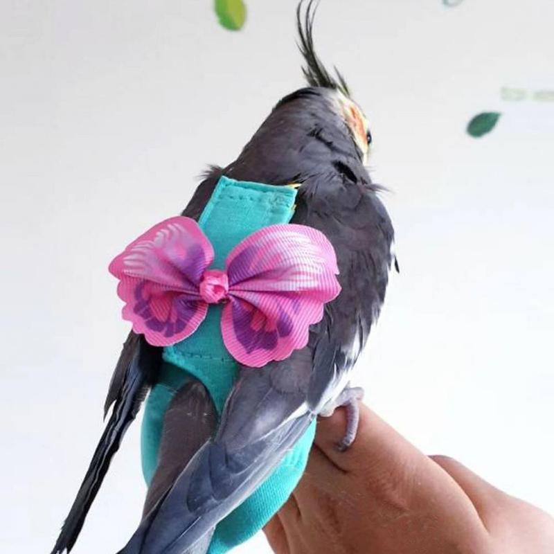 Product Introduction of Parrot Harness Elastic Shoulder Strap Parrot Flight Suit Leak-proof Parrot Flying Vest Parrot Flying Diaper Bird Clothes 14
