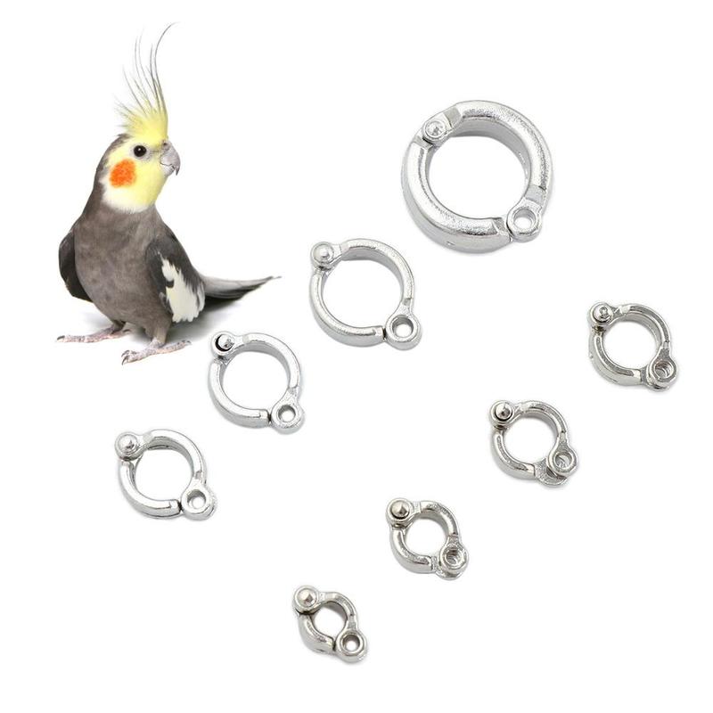 Product Introduction of 1 pcs Anti Escape Training Activity for Pigeon Anti-Lost Parrot Foot Rings Bird Leg Rings Bird Leash Accessories Bird Supplies 7