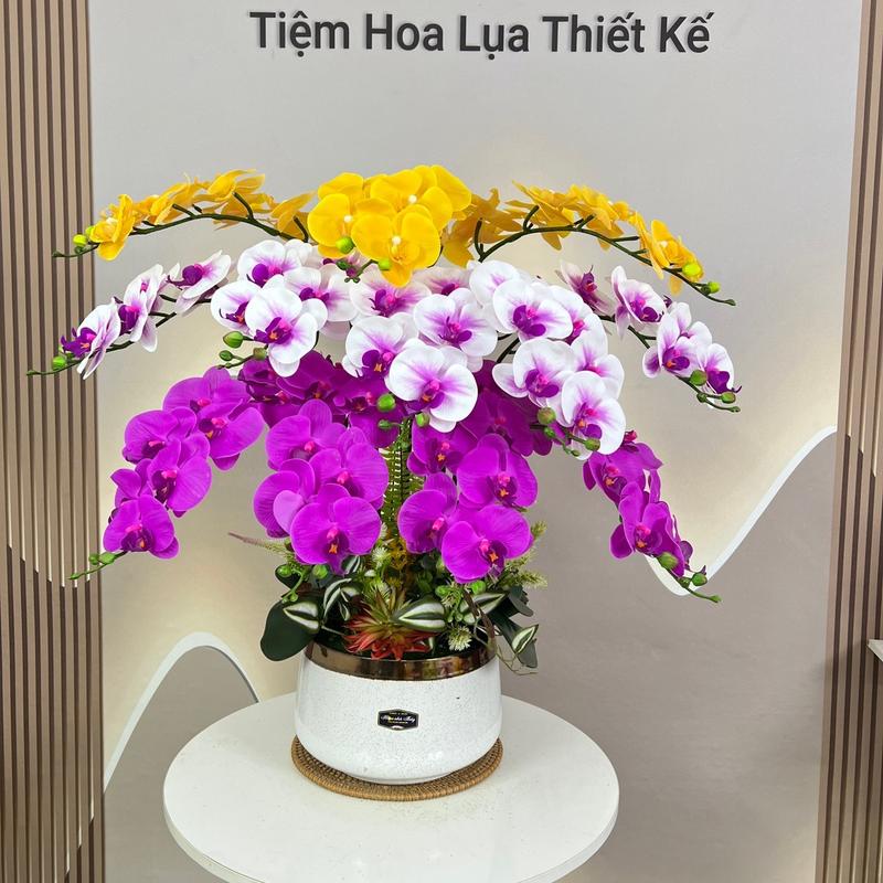Chậu Hoa lan hồ điệp cắm 1 mặt hoa- 12 cành cao su cánh ướt, Chậu sứ nhập - hỗ trợ cắm Decor Decor Phòng Trang Trí Nhà Trang Trí, Hoa giả trang trí