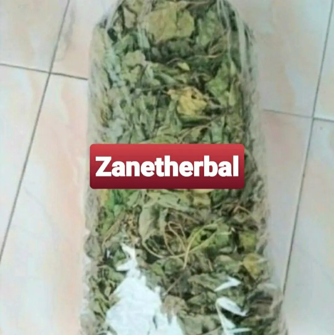 Daun kecubung kering 50 gram natural