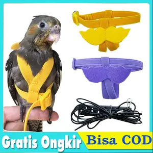 Harness Burung Parrot Tali Pengikat 2 Meter Nyaman Aman Parrot Harness Leash Bird Walking Training Cockatiel Lovebird Nuri Pelangi Jalak