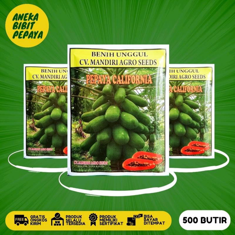 BIJI BENIH PEPAYA CALIFORNIA MANDIRI AGRO SEEDS 0