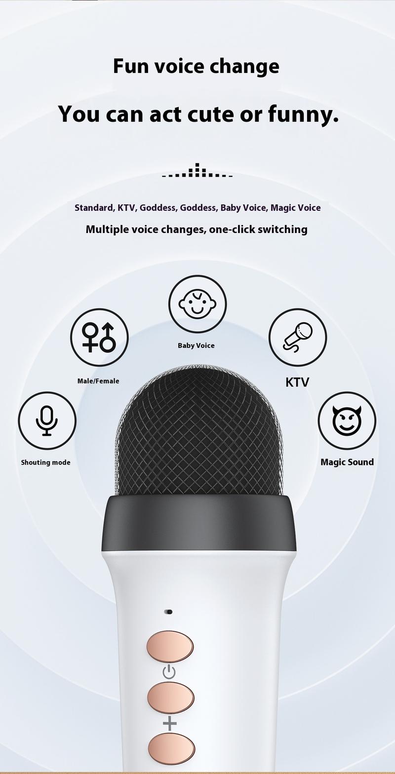 Product Introduction of New karaoke Bluetooth speaker mini portable outdoor microphone all-in-one speaker gift wireless speaker 35