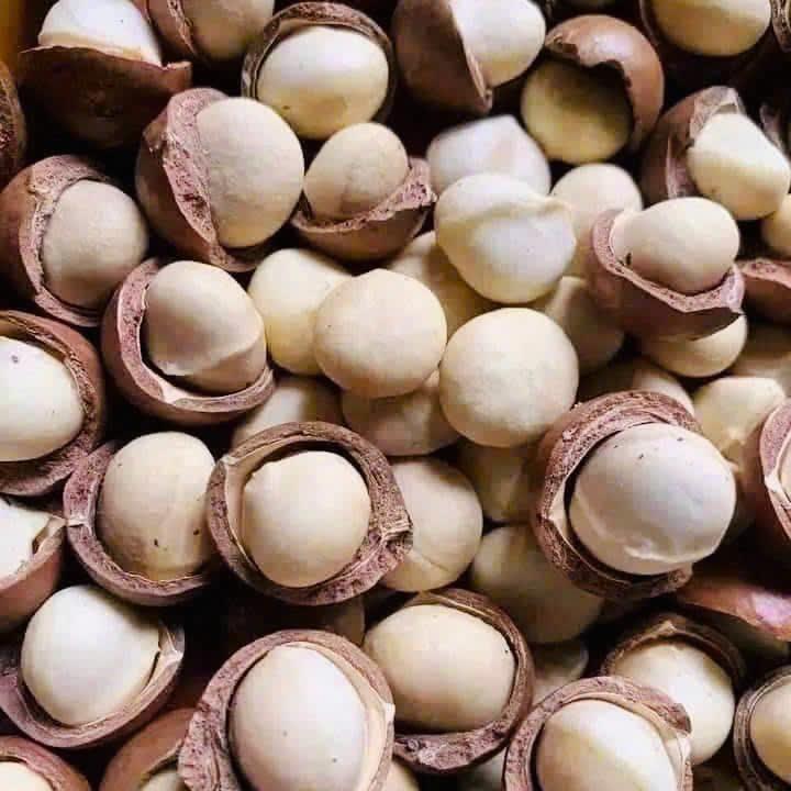[ComBoo 1Kg] Hạt Macca size bi (1.8-2.2cm) sấy chín - Nông sản sạch ĐắkLắk 2