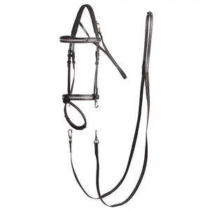 Fouganza 500 shinny horse riding bridle + reins for horse - black 8377692