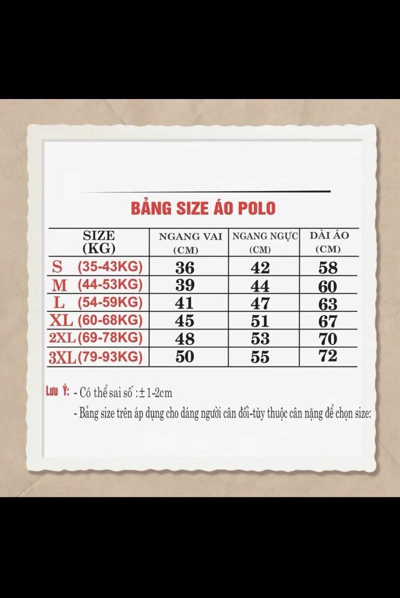 Product Introduction of ÁO POLO GẤU BEAR RICK dễ thương Menswear Nam 0