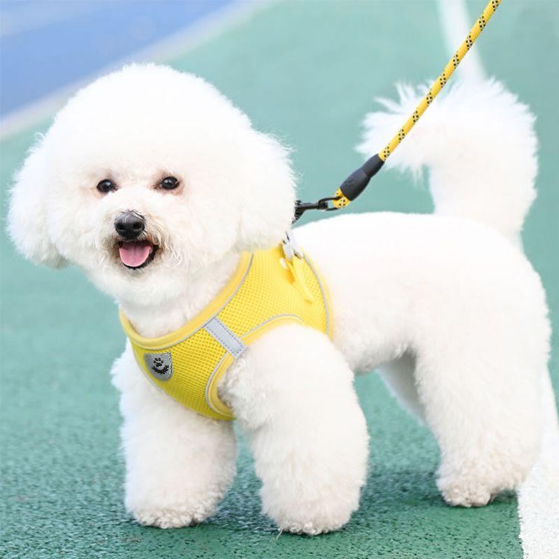 Product Introduction of Dog Leash Vest Dog Leash Small Dog Bear Teddy Special Chest Strap Dog Chain Adjustable Telescopic 0