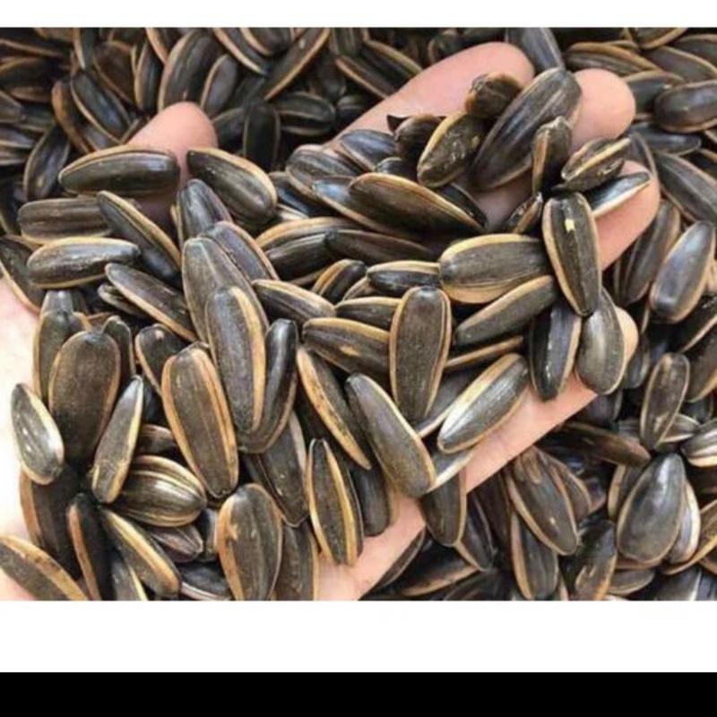 Combo 30 gói hạt hướng dương (50g/gói) 3 vị: dừa, óc chó, nguyên vị 3