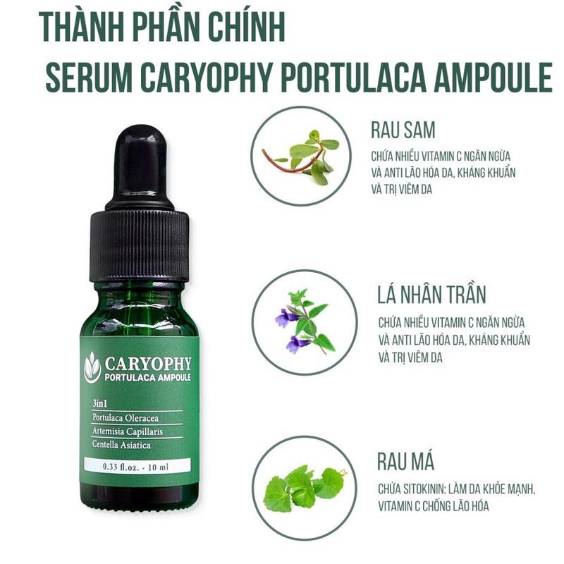 ￼Serum giảm mụn mờ thâm Caryophy Portulaca Ampoule 10ml 1