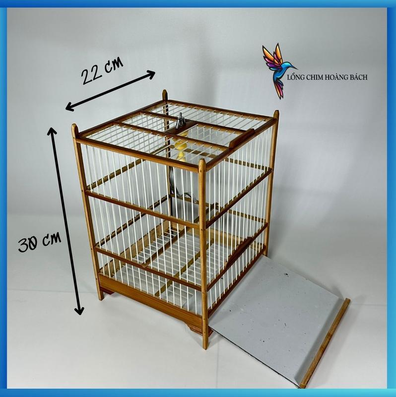 Khung lồng chim khuyên, lồng chim hụt mật tự ráp giá rẻ, tặng kèm đầy đủ phụ kiện, miễn phí vận chuyển long