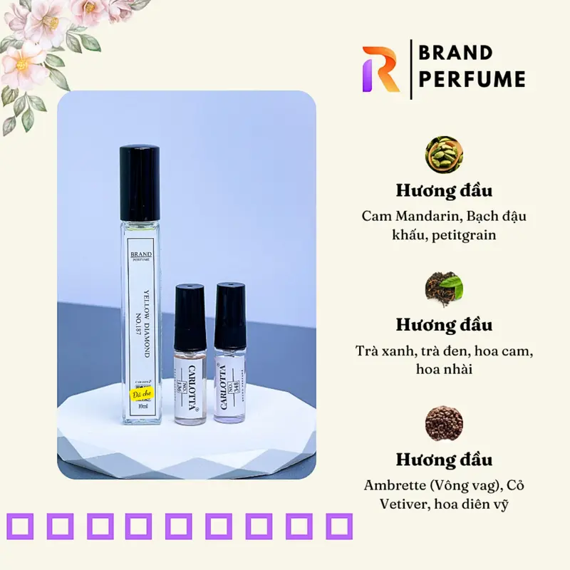 Nước Hoa Nhập Khẩu CARLOTTA lưu hương 6-8 tiếng, Mùi HươngThơm mát của trà, trầm lặng, cuốn hút NO.276 - 10ML 3