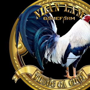 Shop gà đá nhân lâm tây ninh