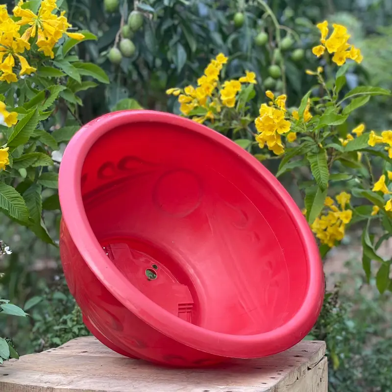 [ 5 cái ] Chậu nhựa trồng cây T38 dày dặn ( miệng 36 x cao 20cm ) chậu  hoa 2