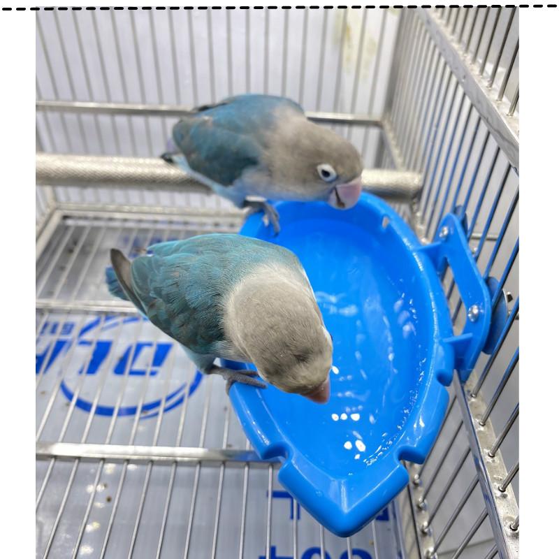 Product Introduction of 3 in 1 Pet Bird Bath Cage Parrot Bathtub Birds Feeders Bird Cage Accessories Shower Box Small Parrot Cage Toys Birds Accessories 4