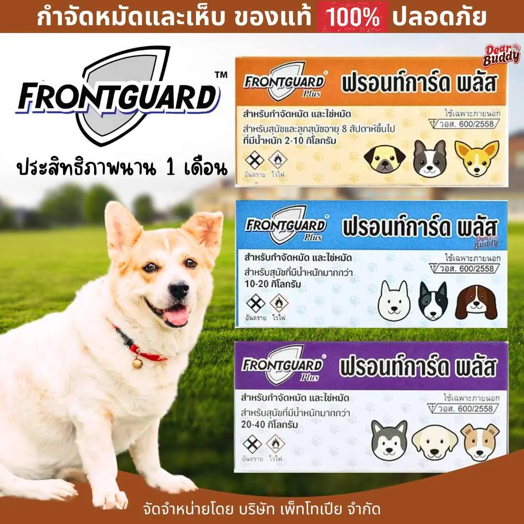 Frontguard ผลิตภัณฑ์กำจัดหมัดและไข่หมัด ไม่เป็นอันตรายต่อสัตว์เลี้ยง