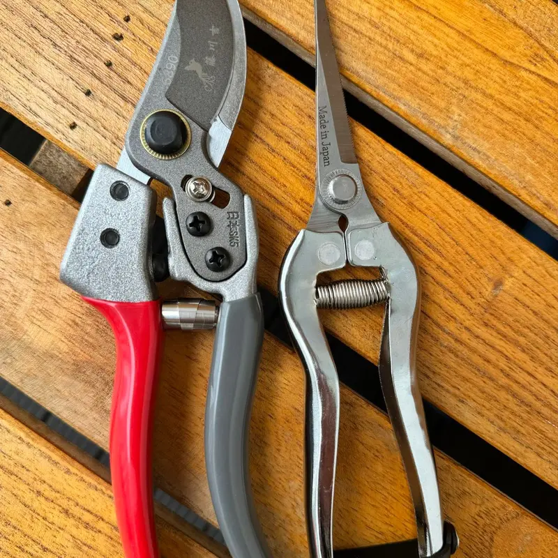 (Tặng 1 cưa mini)COMBO 2  KÉO CẮT  JAPAN (kéo hộp V1, kéo tỉa) 1