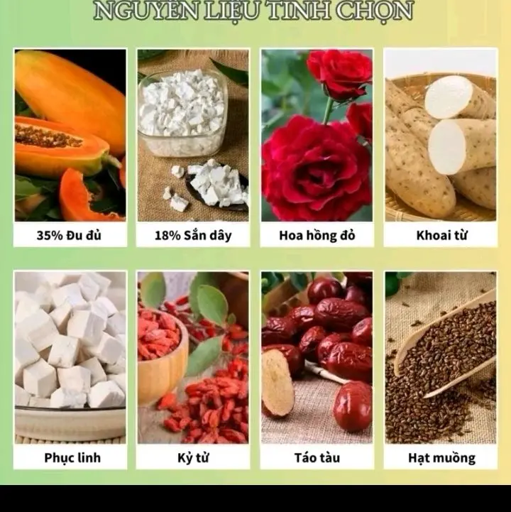 Combo 5 Hộp - Trà Đu Đủ Sắn Dây Quý Nhân Đường Giúp Nở Ngựk, Bột Sắn Dây Đu Đủ Giúp v. 1 Đàn Hồi và Săn Chắc 2