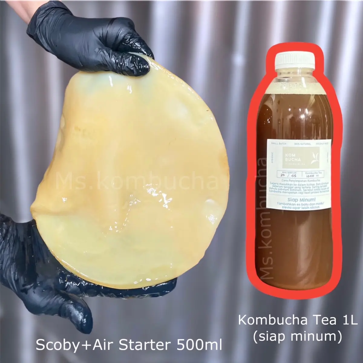 Scoby + air starter + kombucha tea 1L Organic Natural