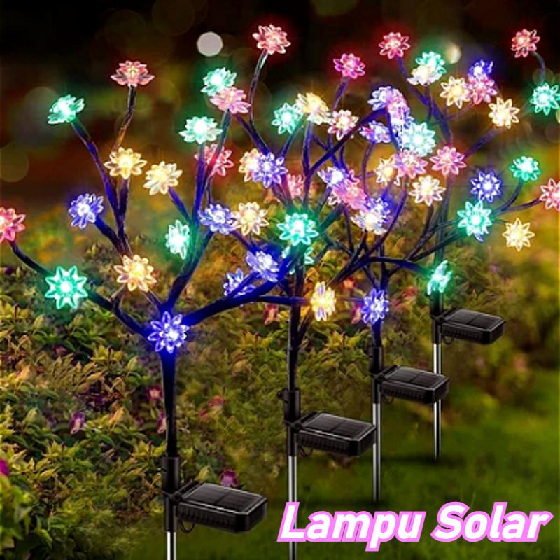 Lampu Rumput Suria, Bunga Ceri, Kalis Air, Lampu Peri, Lampu - TikTok ...