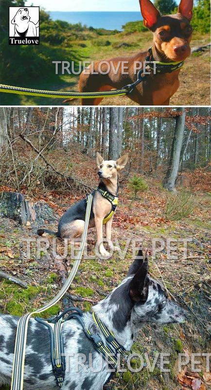 Product Introduction of Truelove Soft Pet Leash Reflective Nylon Mesh Padded Puppy Large Dog or Cat Walking Training 11 Color 200cm TLL2112 Dropshipping 27