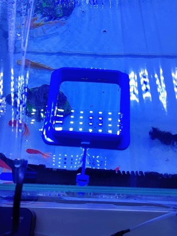 Product Introduction of Aquarium fish tank feed ring floating food tray feeder square circle accessories fish food feeder black suction cup 16