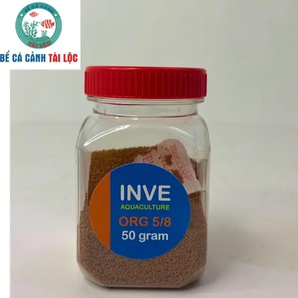 Cám thái - Thức ăn cá Inve không đục nước cho cá cảnh
