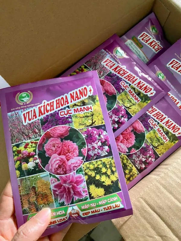 Vua kích hoa nano Cục mạnh tạo mầm hoa , mập nụ , mập cành , ra hoa đồng đều 2
