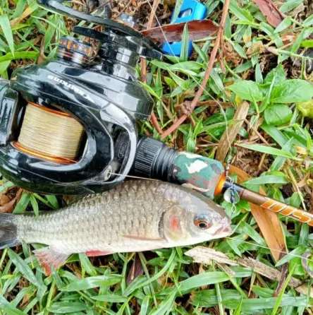 Rayap Lure sudah menggunakan swivel/kili2 untuk menghindari PE/senar melintir Gabus umpan  casting 2