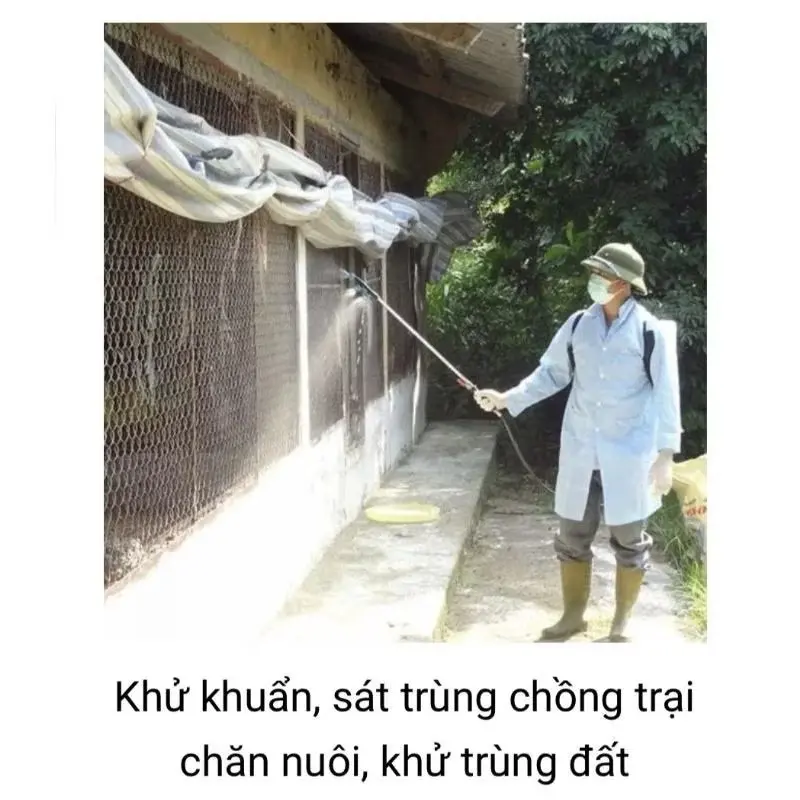 ￼(Chính hãng) 10 gói tặng 2 - Aqua Pro chế phẩm sinh học phòng trừ nấm bệnh trên cây (125gr), rửa vườn, nấm bệnh… 4