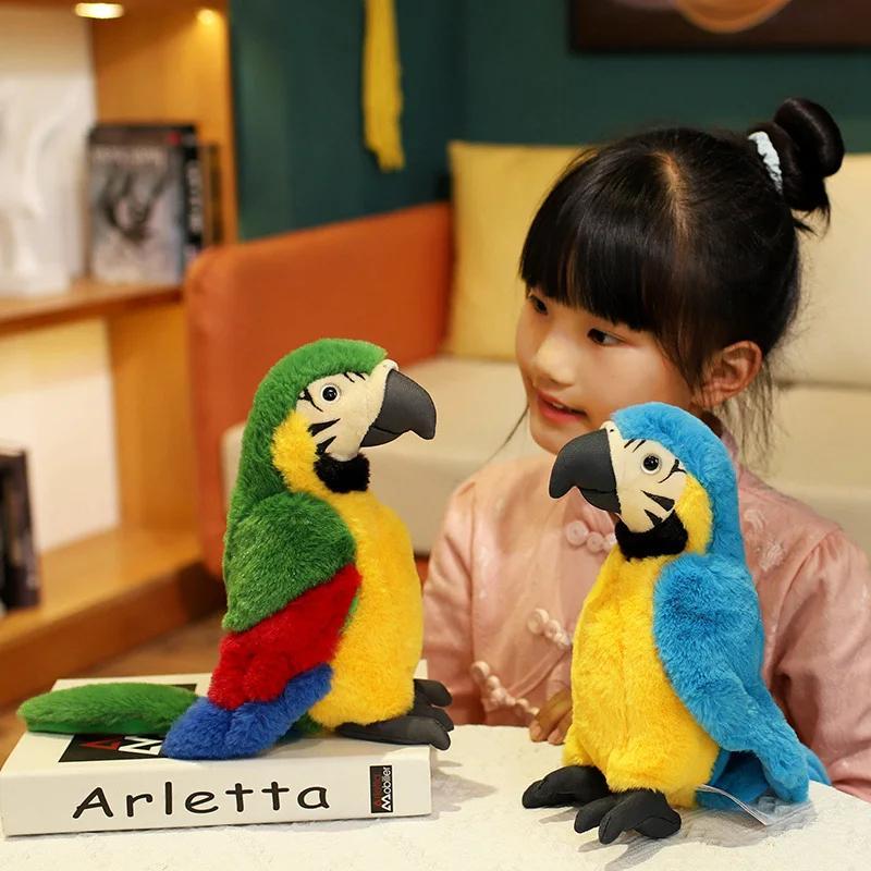 Product Introduction of 25CM Lifelike Bright Colorful Parrot Plush Toys Soft Simulation Wild Animals Stuffed Bird Doll Children Kids Gift Home Decor 14