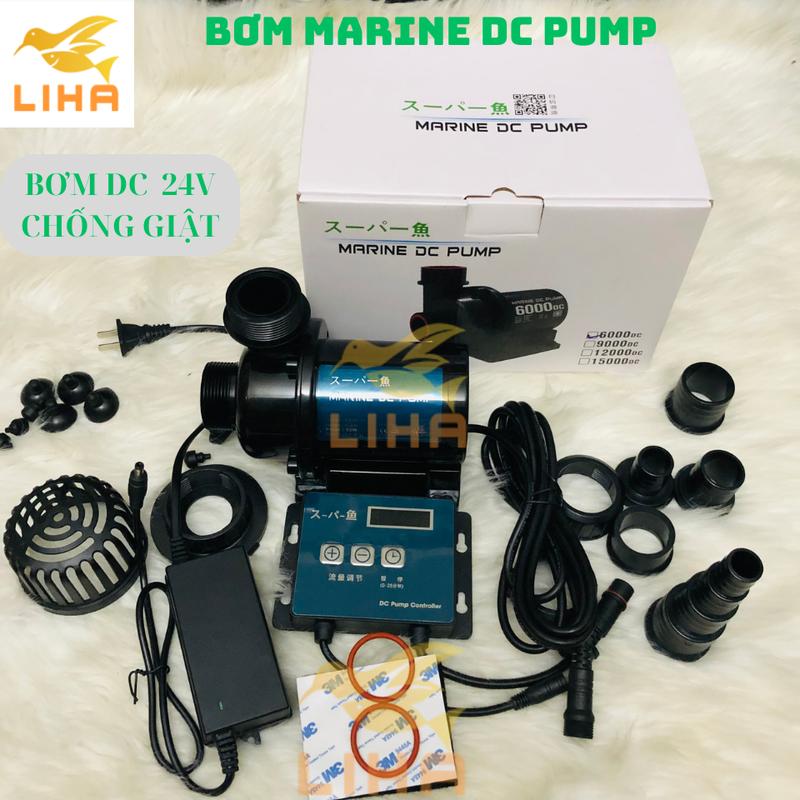 Máy Bơm Nước Marine DC 24V Chống Giật - Bơm Bể Cá Thủy Sinh