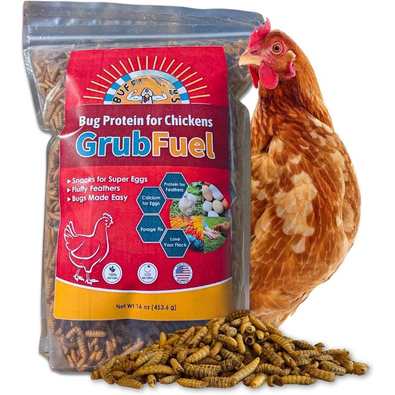 Grub Black Soldier Fly Larvae for Chickens - Nutrient-Packe - TikTok Shop