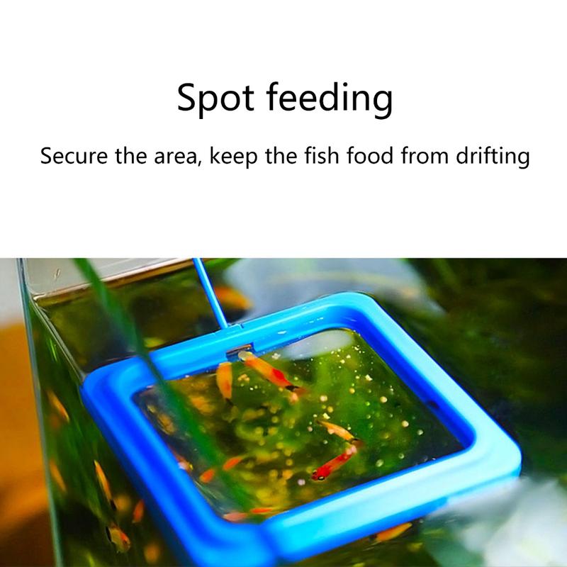 Yica 2pcs Fish Tanks Feeding Rings Small Fishes Feeders Rings Circle Buoyance Fish Feeders for Easy Installation And Cleaning 3
