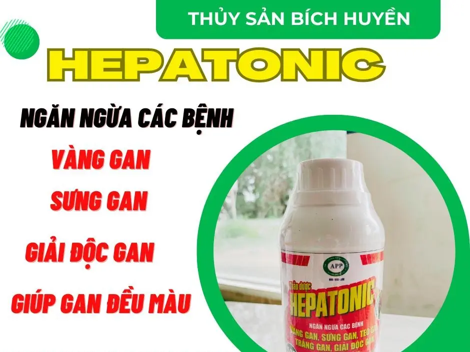 HEPATONIC DƯỠNG GAN, TĂNG CƯỜNG CHỨC NĂNG GAN DÀNH CHO THỦY CÁ, ẾCH, LƯƠN