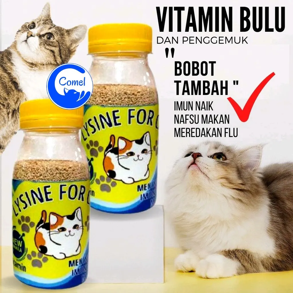Vitamin Penggemuk dan Bulu Kucing Lysine For Cat 50gr Penumbuh Bulu Kucing Pelebat Bulu