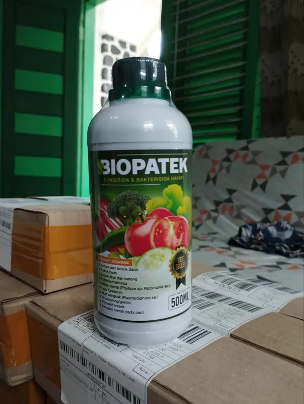 OBAT Layu Fusarium dan Layu Bakteri Cabe BIOPATEk 500 ML – Pupuk Organik Semprot Atasi Layu Buah, Daun dan Batang Cabe – Pupuk Semprot Atasi Layu Keriting Daun, Busuk Buah, Batang dan Busuk Akar Cabe – Pupuk Atasi Penyakit Tanaman Cabe 1
