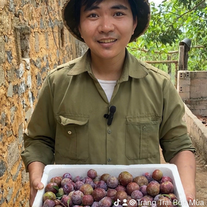 Nông sản nhà Tiến
