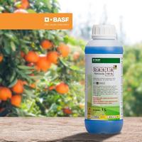 Gambar Basta 150 SL 1liter Herbisida untuk gulma dari BASF Petani Sejahtera Kota Tangerang 3 Tokopedia