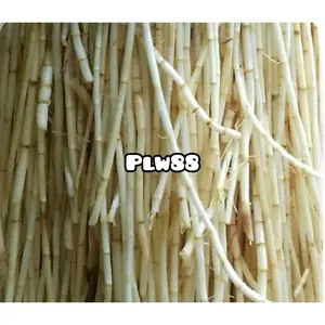 Akar alang alang 1 kg segar fresh-az