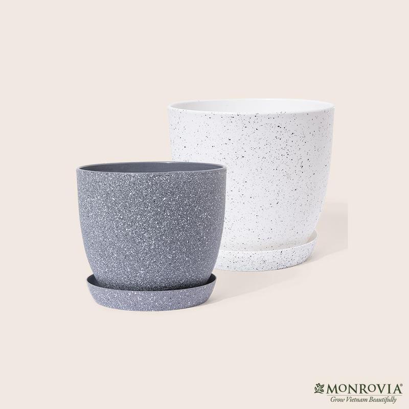 Chậu trồng cây vân đá MONROVIA kèm đĩa lót, decor trang trí cho hoa, cây cảnh, ban công, bonsai, tiêu chuẩn châu Âu chậu  nhựa giả sứ