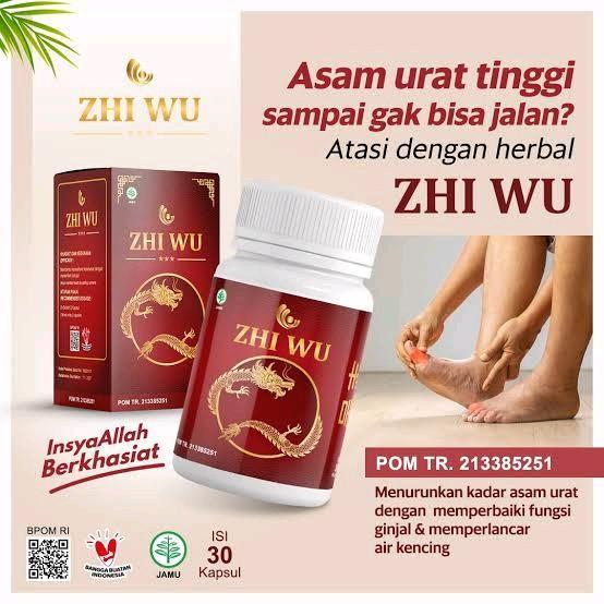 Promo BISA COD ZHI WU ORIGINAL ASLI KAPSUL HERBAL REMATIK ASAM URAT TRADITIONAL CINA BPOM 1