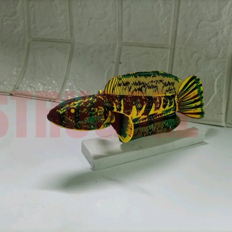 manekin replika boneka ikan chana auranti,yellow sentarum,red,pulchra 4