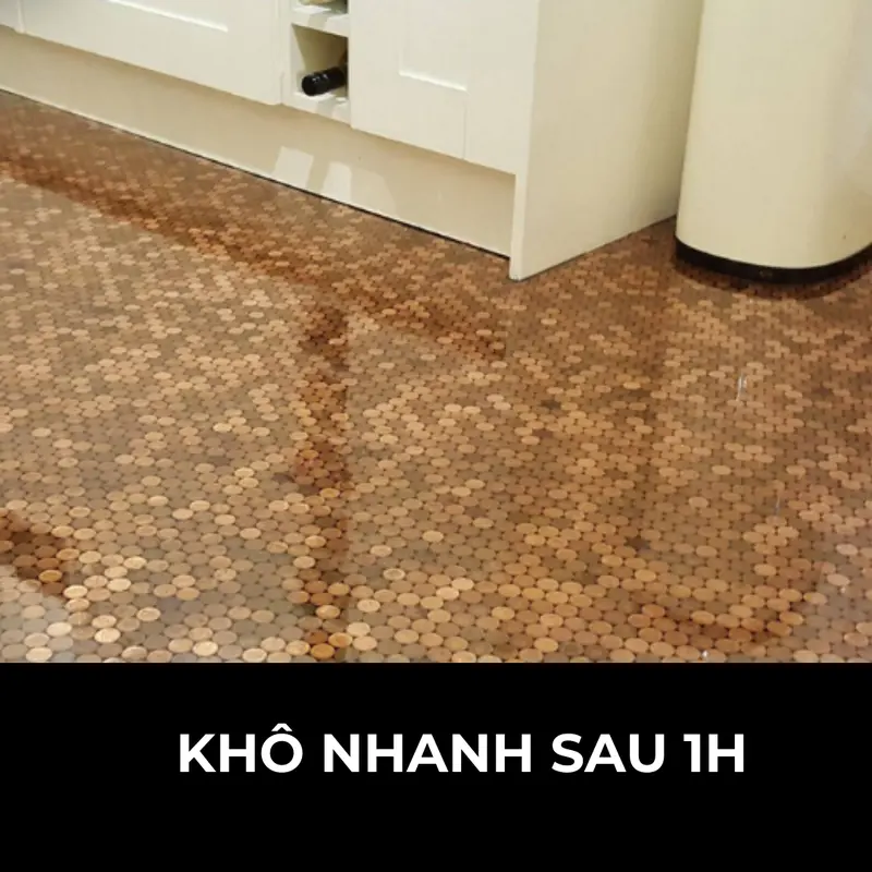 [1Kg] Sơn Chống thấm Trong Suốt Cao Cấp - SIRA AC (Tặng kèm chổi chét sơn) chong tham trongsuot nền gạch sơn  nền nhà tắm sơn  trong suốt 4